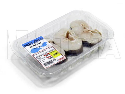 Frische Meeraal-Scheiben in versiegelter Schale