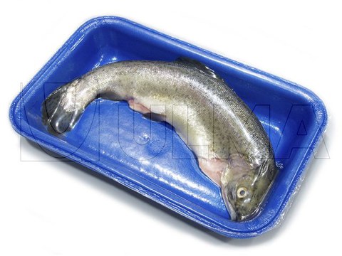 Frischer Fisch mit Skin-Pack in versiegelter Schale verpackt