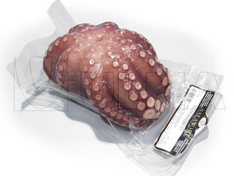 Ganze Oktopus-Vakuumverpackung mittels Tiefziehverfahren