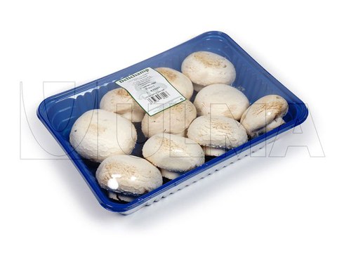 Champignons in versiegelter Schale verpackt