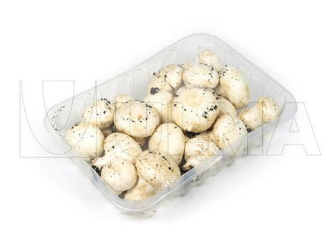 Champignons verpackt in versiegelter Schalenpackung