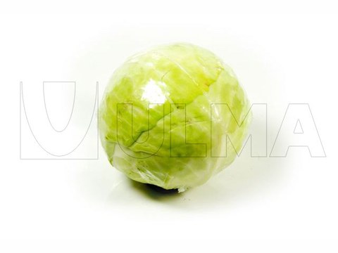 Runde Salatköpfe in Schlauchbeutel (HFFS)