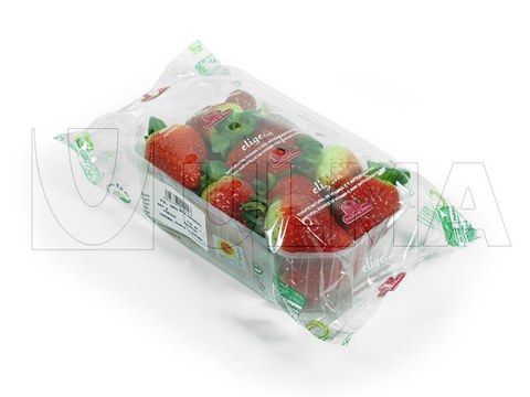 Erdbeeren in Schlauchbeutelverpackung (hffs)