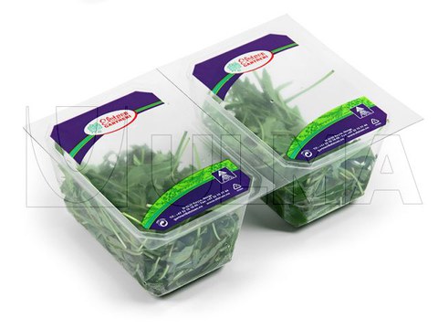 Rucola in versiegelter Schale mit modifizierter Atmosphäre (MAP)